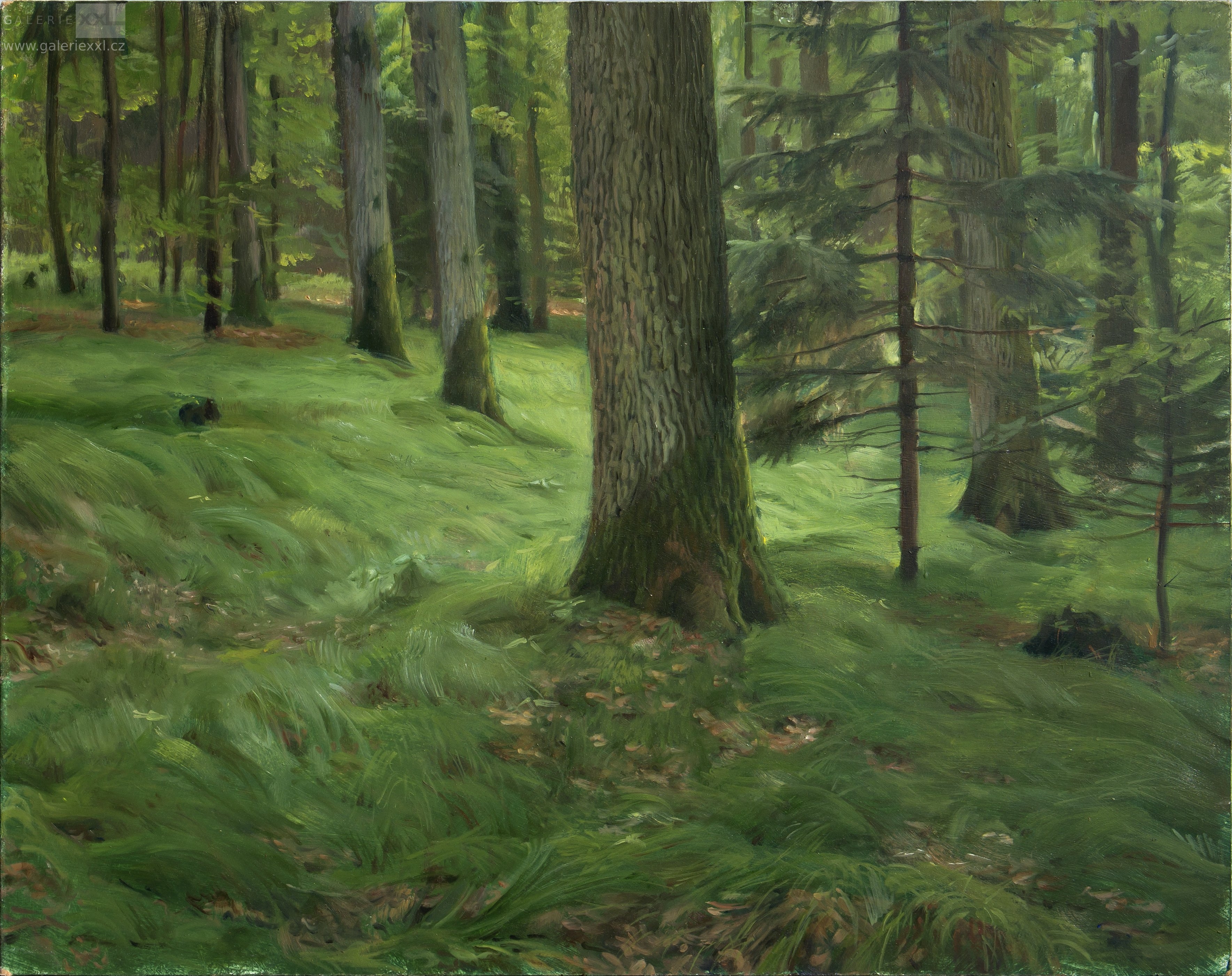 Šťáhlavy – strom