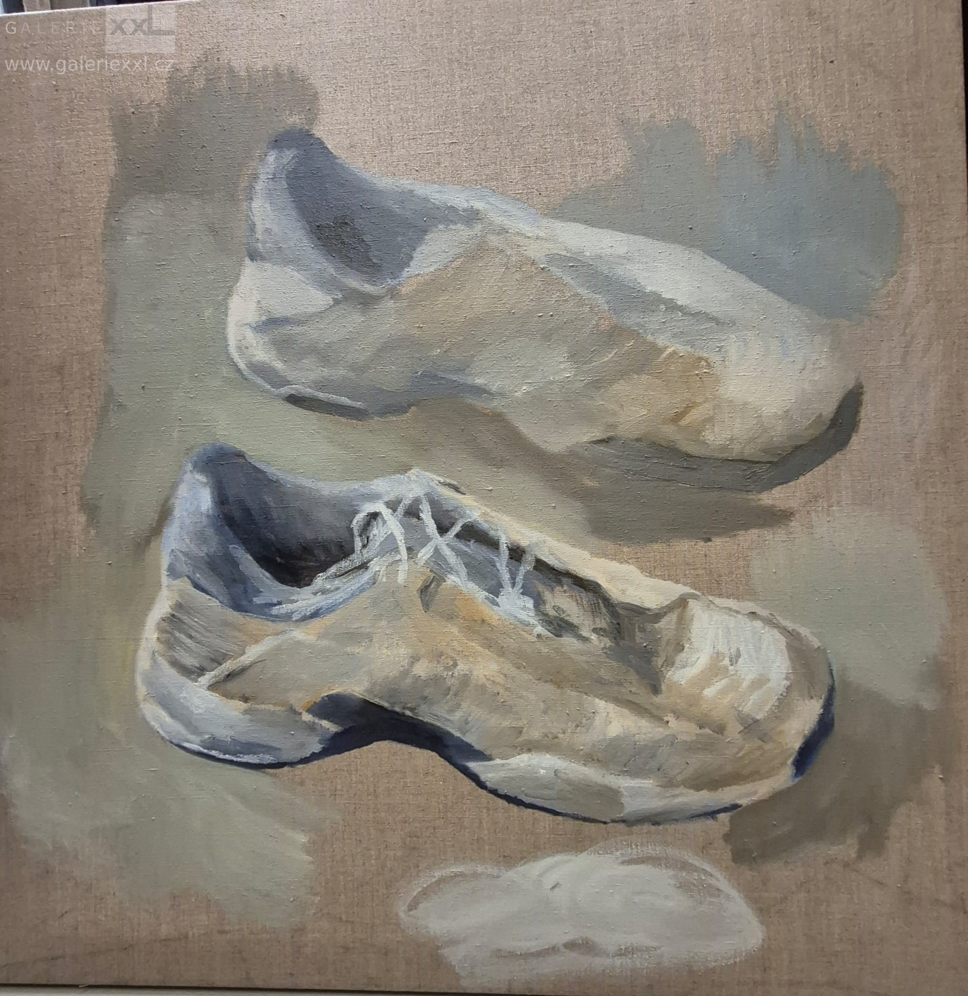 Boty na tenis (Milan Salák)