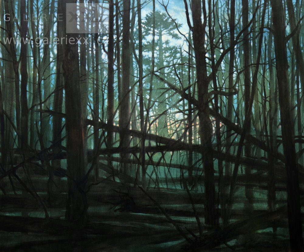 Cesta je zatarasená Cesta je zatarasená