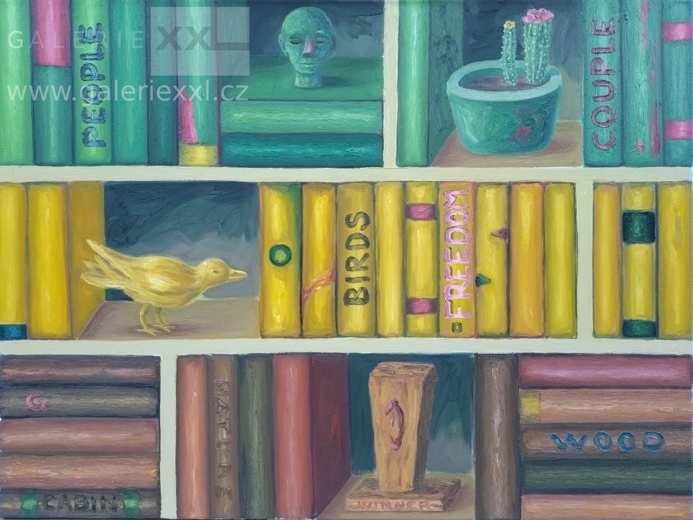 Library - Winner (Roman Franta)