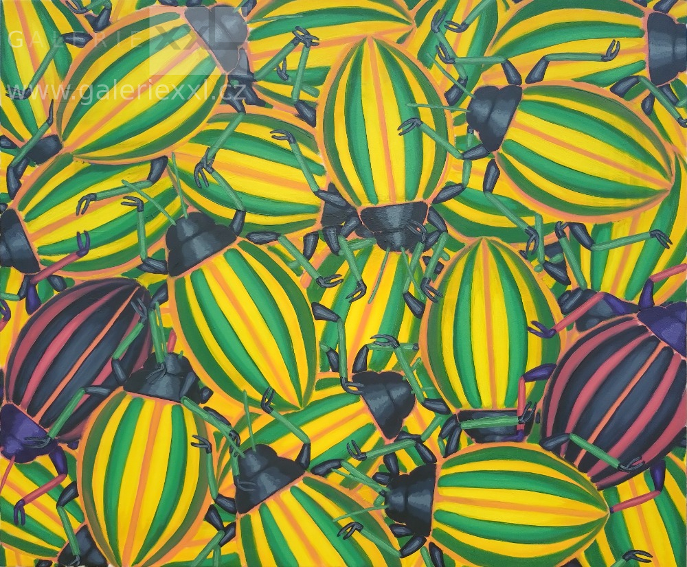 NEW BUGS - To the left or right ..., (Roman Franta)