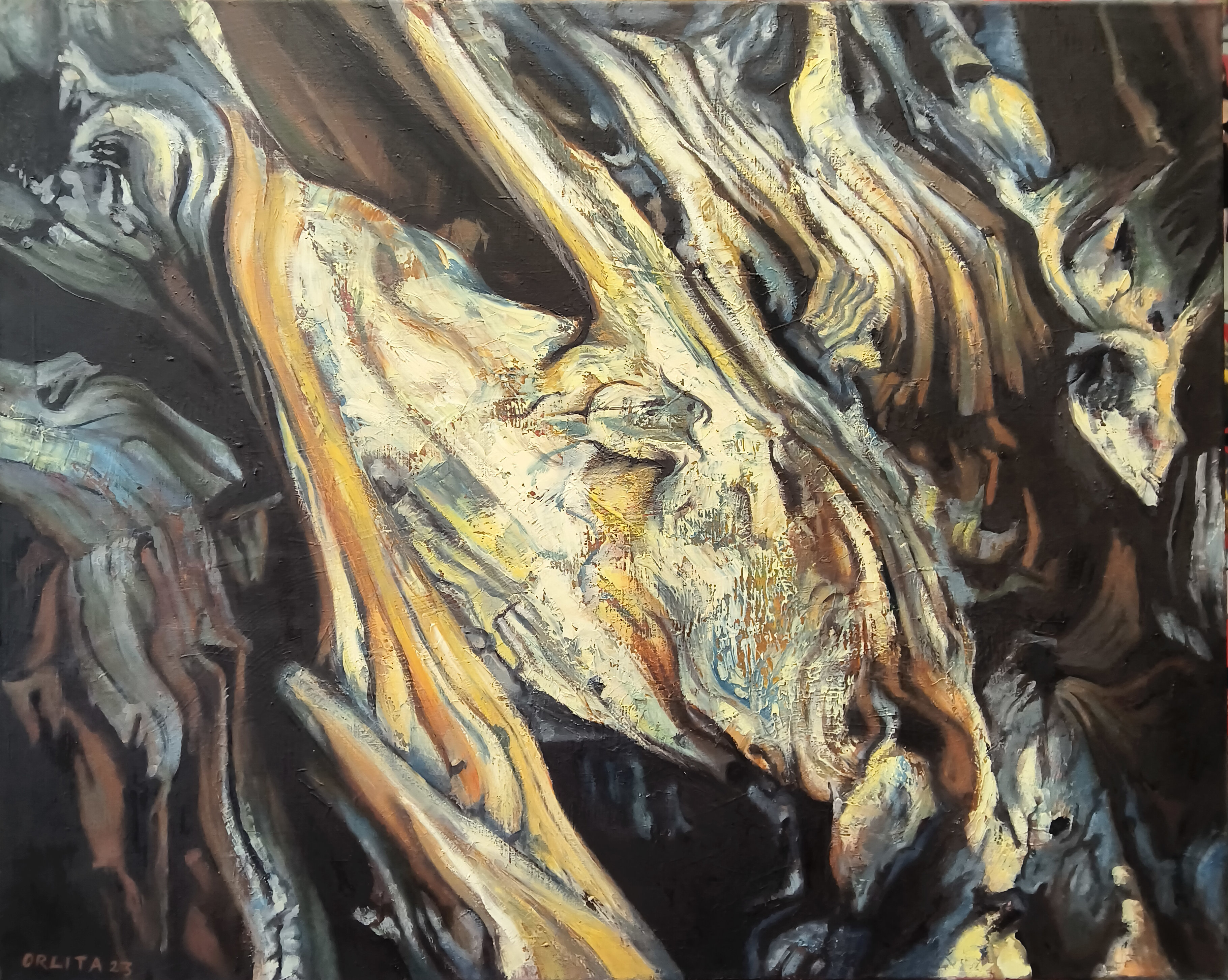 Kořeny 1 (Lukáš Orlita)