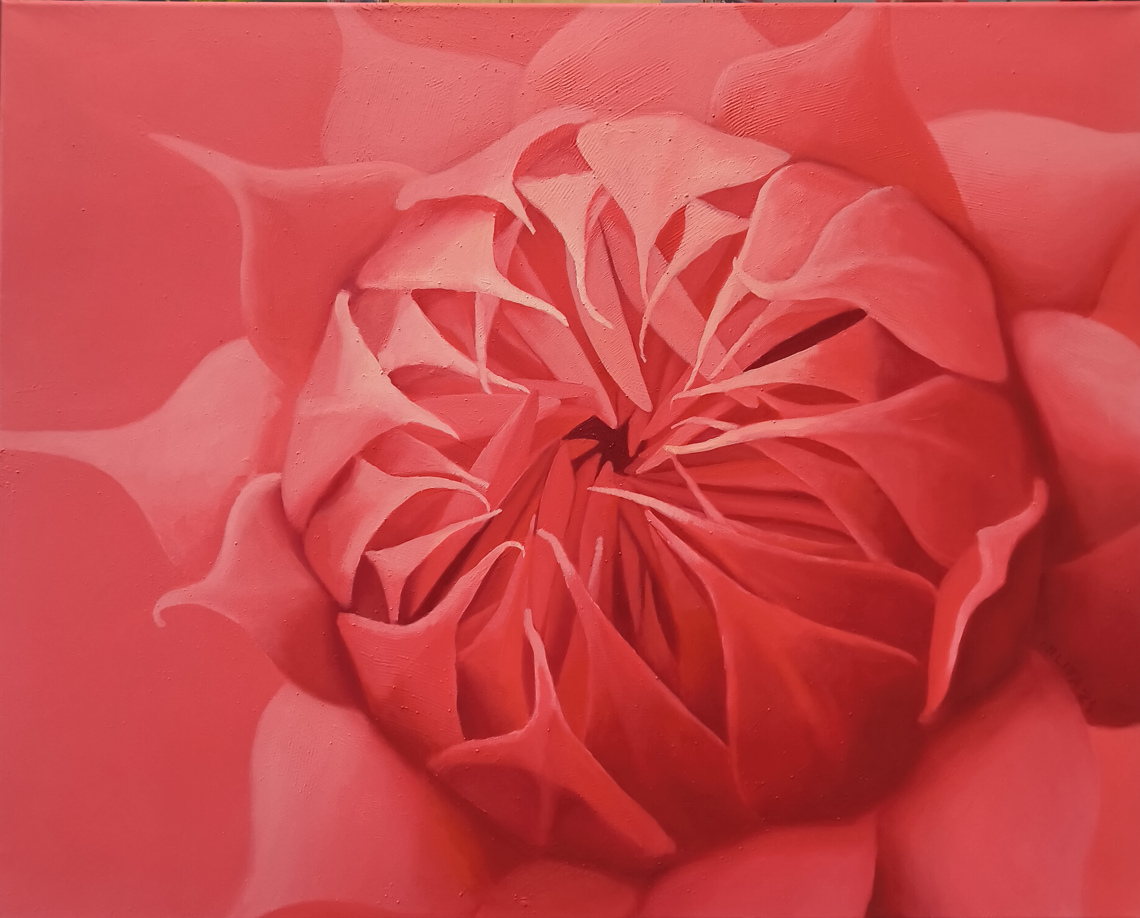 Slunečnice (Lukáš Orlita)