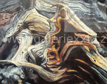 Kořeny (Lukáš Orlita)