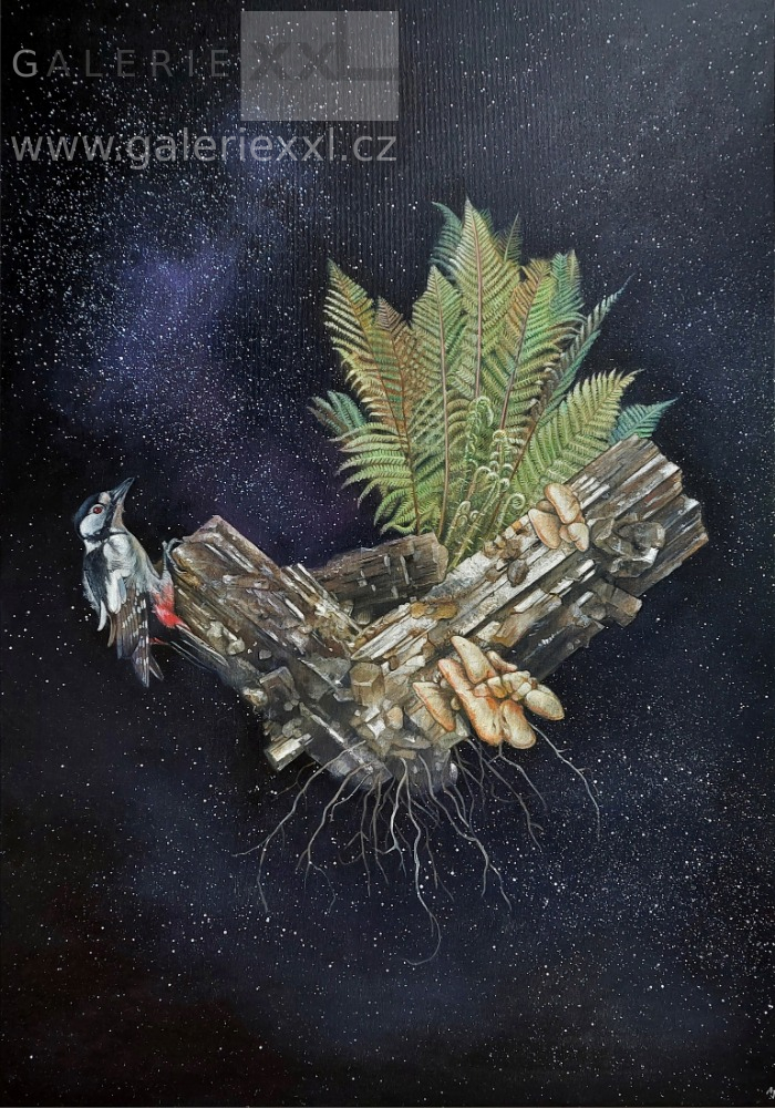 Útočiště II. (Alexandra Jiříčková)