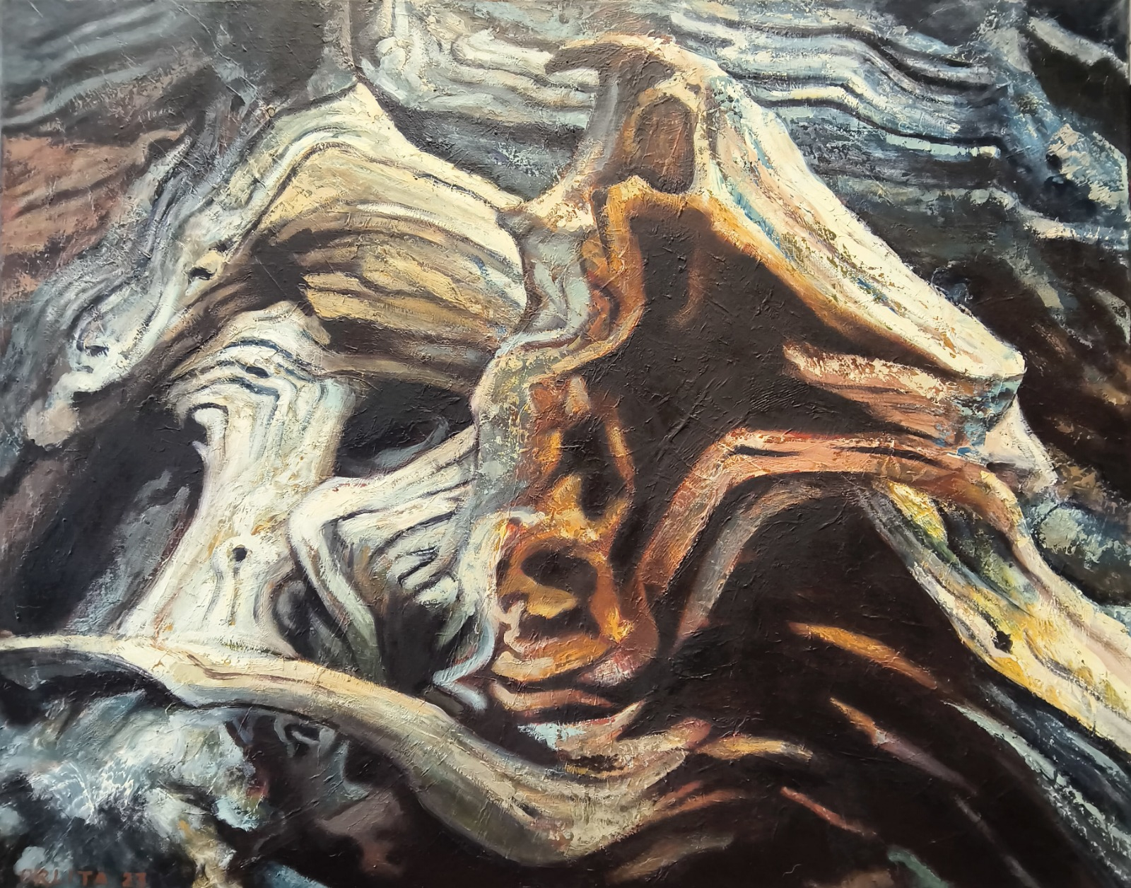 Kořeny (Lukáš Orlita)