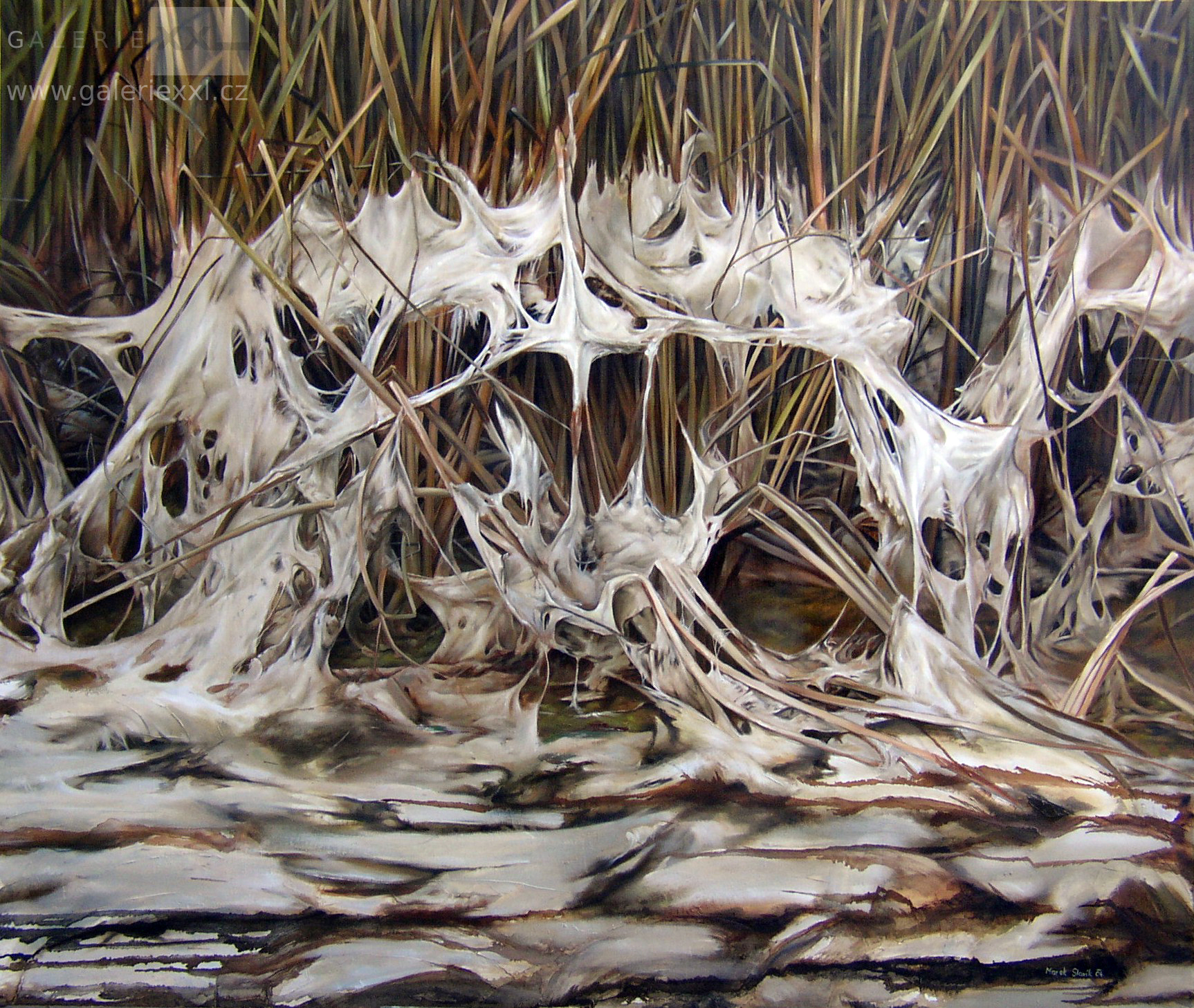 Bažina 1 (Marek Slavík)