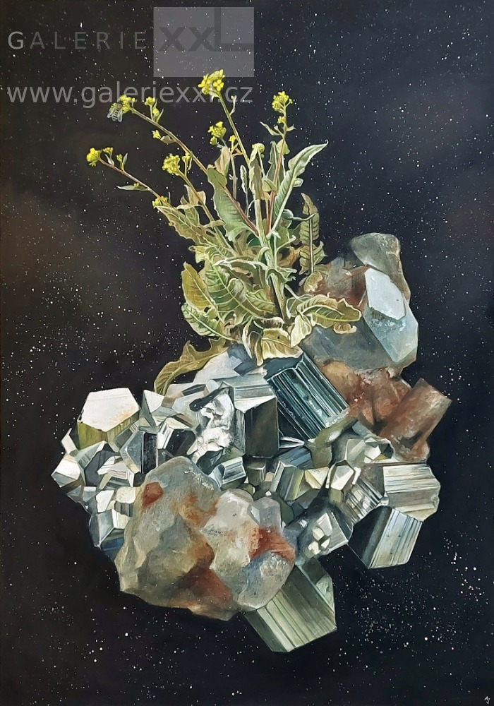 Útočiště III. (Alexandra Jiříčková)